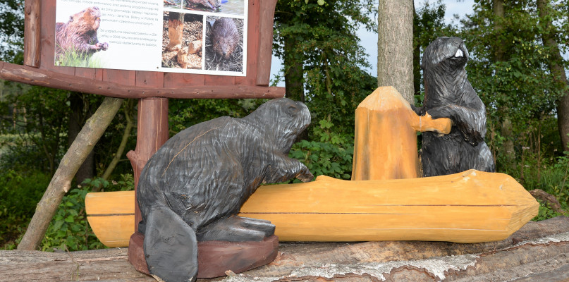 Ścieżka edukacyjna na wyspie na dolnym stawie w Zielonej to cztery komplety rzeźb drewnianych przedstawiających ryby słodkowodne, ptaki wodne, wydry i bobry. Fot. Jarosław Myśliwski 