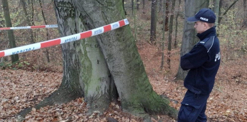 W lesie w Tarnowskich Górach znaleziono niewybuch.  Fot. Archiwum KPP w Tarnowskich Górach 