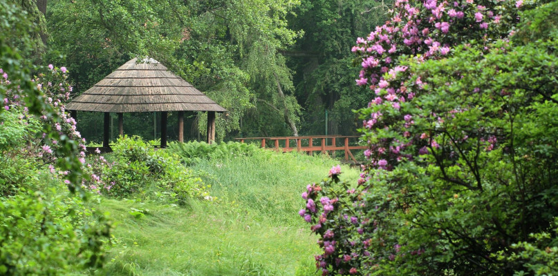 Ogród botaniczny lata temu był atrakcją Brynka. Fot. Archiwum technikum 