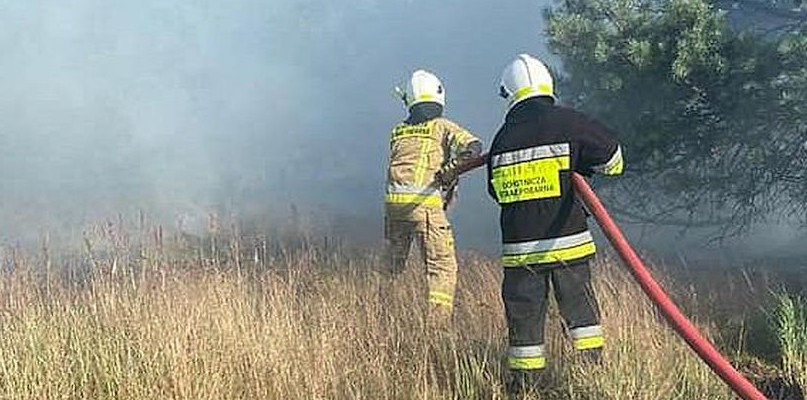 Pożar w Czarnej Hucie w Tarnowskich Górach. Fot. OSP Nakło Śląskie