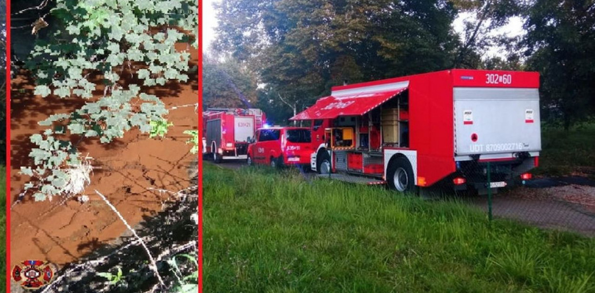 Zanieczyścili potok. Są wyniki badań. Firma odpowie przed sądem. Fot. OSP Wieszowa