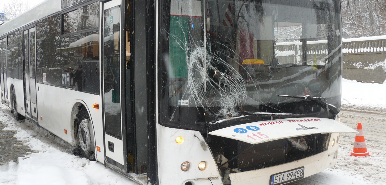 Tarnowskie Góry. Autobus skosił krzewy rosnące na poboczu. Fot. Agnieszka Reczkin