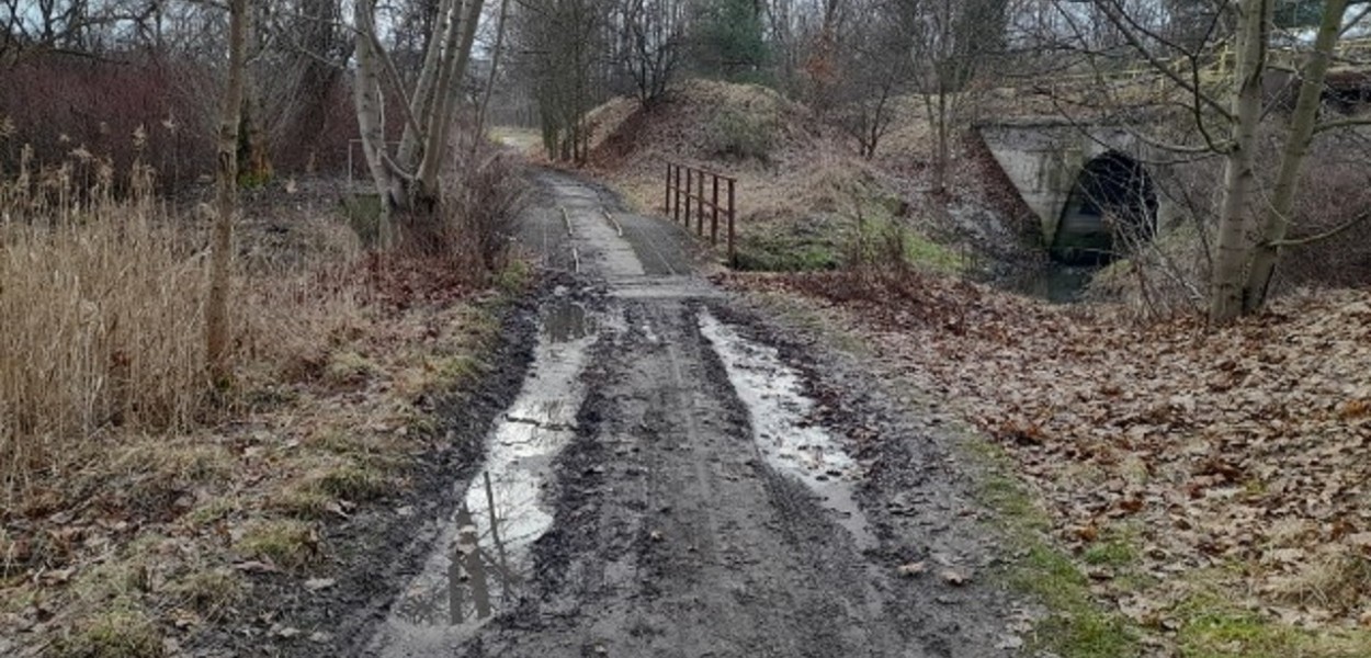 Ścieżka w Lasowicach w błocie. Fot. Alicja Jurasz