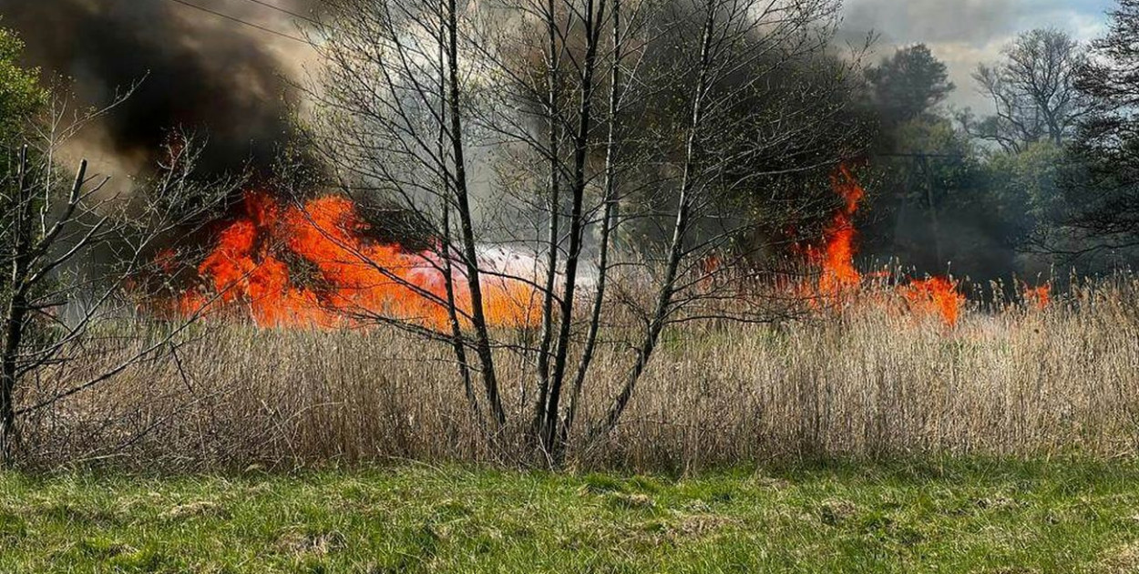 Fot. KP PSP Tarnowskie Góry