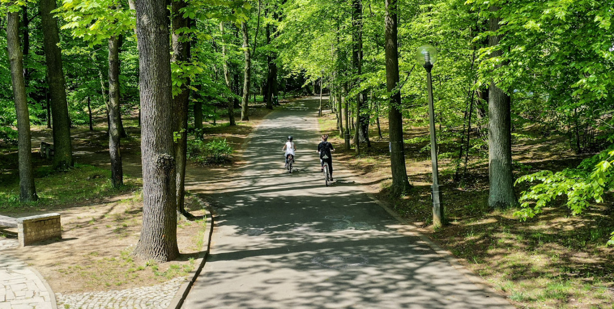 Park w Tarnowskich Górach jest największym tego typu parkiem, założonym na przełomie XIX i XX wieku. Fot. UM TG