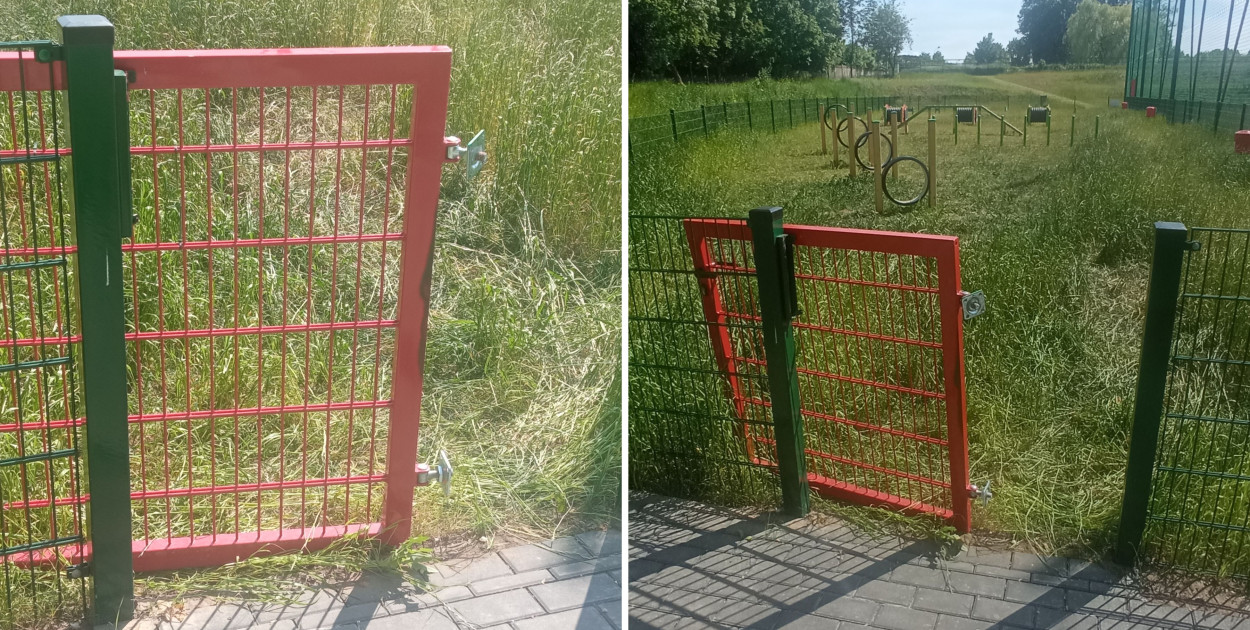 Wybieg dla psów w centrum nieoficjalnie otwarty. Fot. Archiwum czytelniczki 