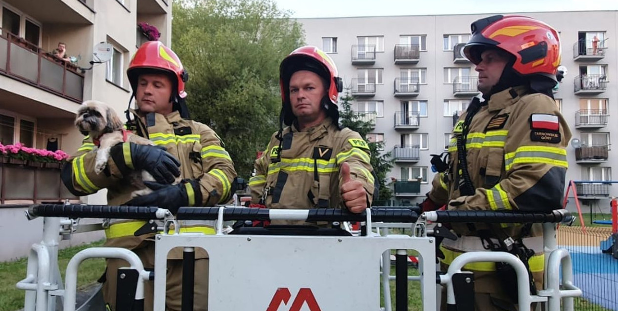 Strażacy uratowali małego psa. Fot. KP PSP Tarnowskie Góry