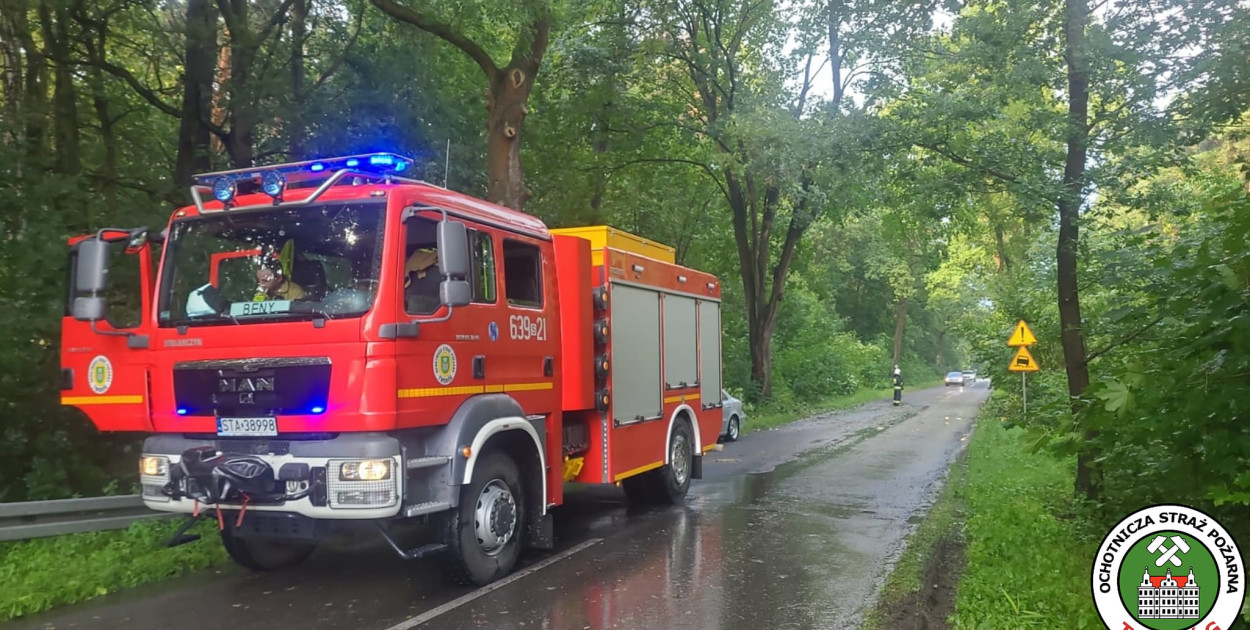 Większość wyjazdów dotyczyła powalonych drzew i gałęzi. Fot. OSP TWORÓG