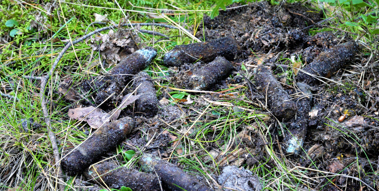 Dzisiaj grzybiarz znalazł kilkanaście pocisków z II wojny światowej w lesie koło Kalet. Fot. Jarosław Myśliwski