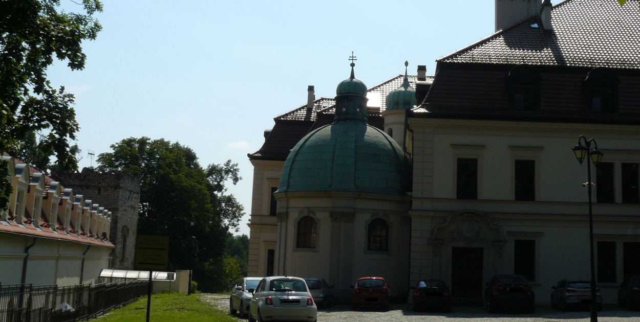 Zarząd województwa planuje przeprowadzkę ośrodka z pałacu do nowego obiektu. Fot. Agnieszka Reczkin