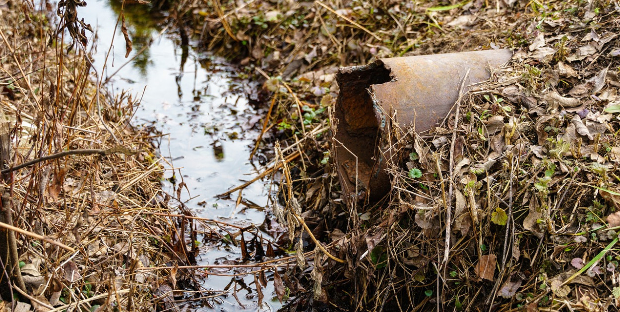 Zdjęcie poglądowe. Fot. pixabay.com