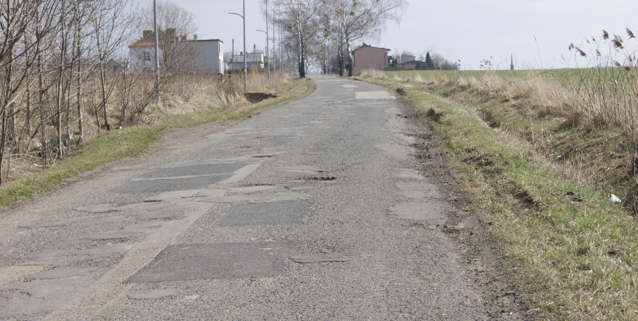 Droga Miedary-Laryszów. Fot. Alicja Jurasz