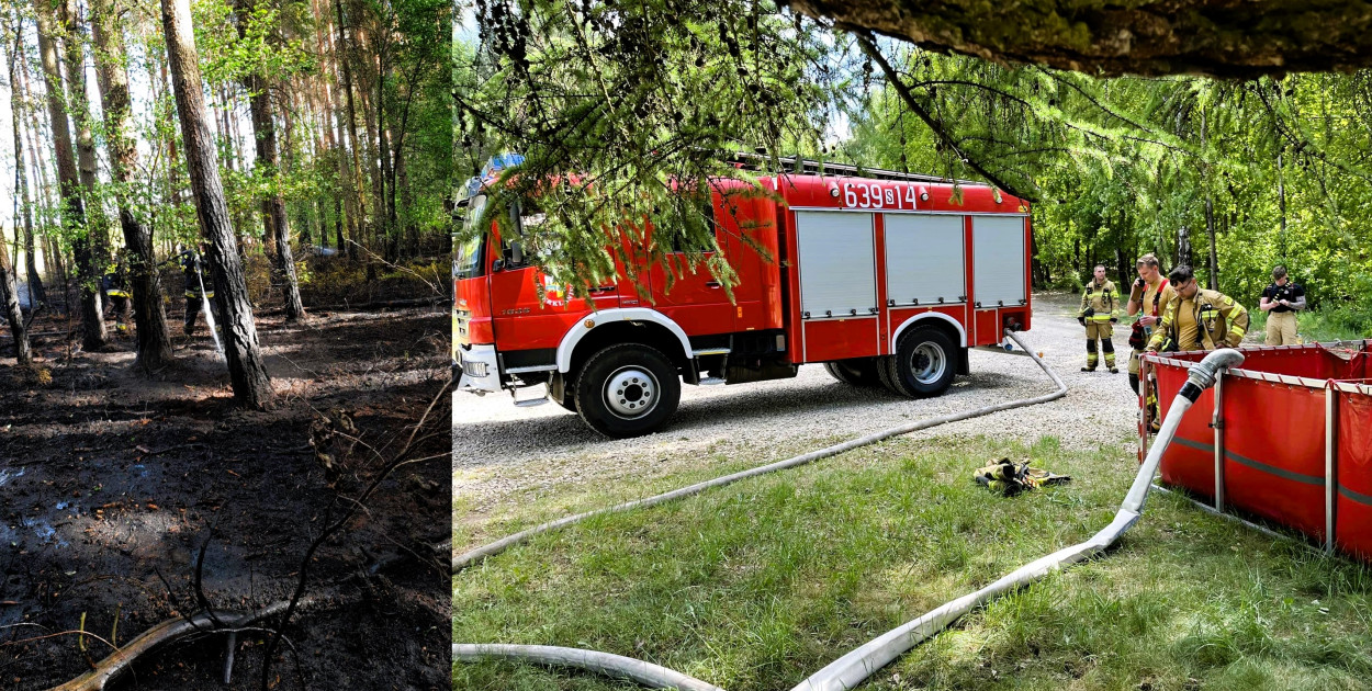 Samolot i śmigłowiec gaśniczy, strażacy z kilku jednostek gasili wczoraj pożar lasu w pobliżu zalewu Nakło Chechło. Fot. OSP Świerklaniec