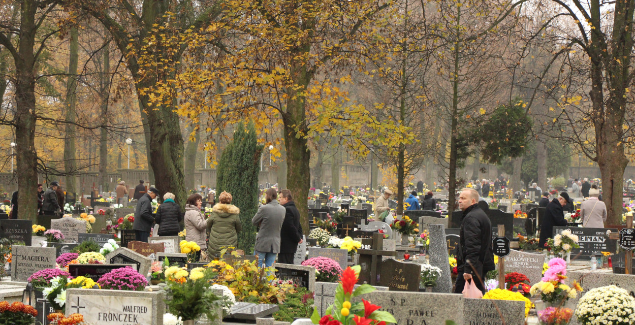 Zdjęcia poglądowe. Fot. Archiwum Gwarka 