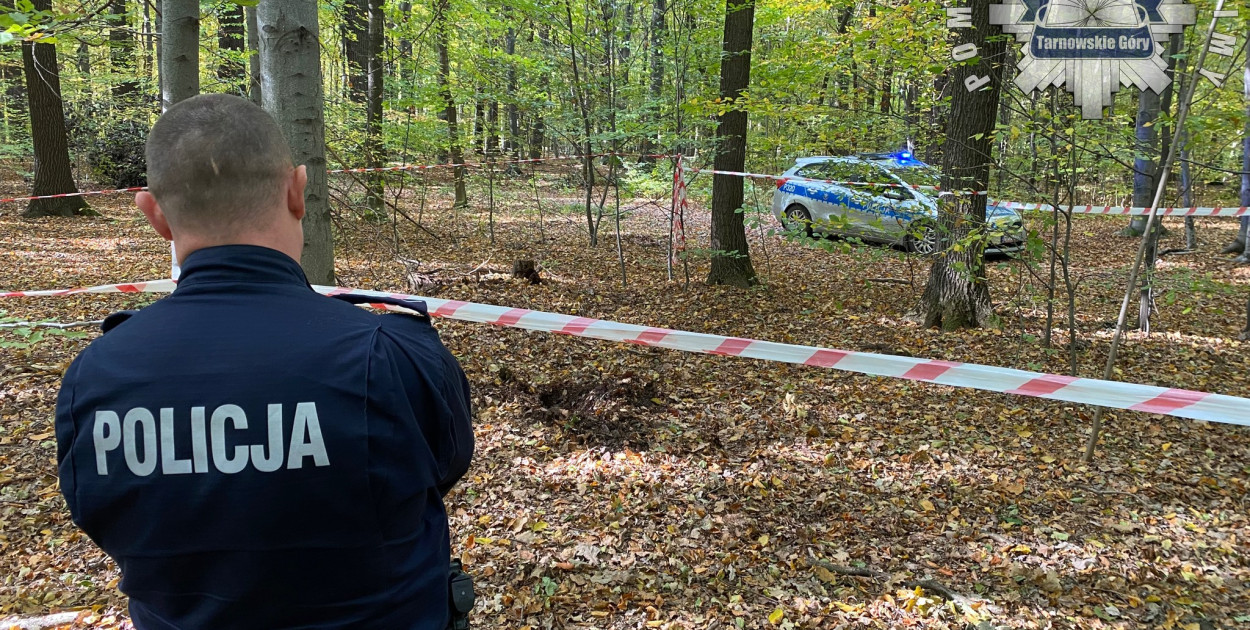 W parku Repeckim w Tarnowskich Górach znaleziono pocisk z czasów wojennych. Fot. Archiwum policji