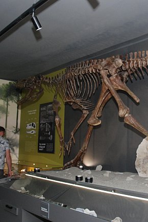 Majówka po sąsiedzku w muzeum paleontologicznym-28894