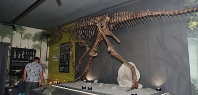 Pierwszy polski dinozaur. Majówka w Muzeum w Lisowicach [FOTO]-50448