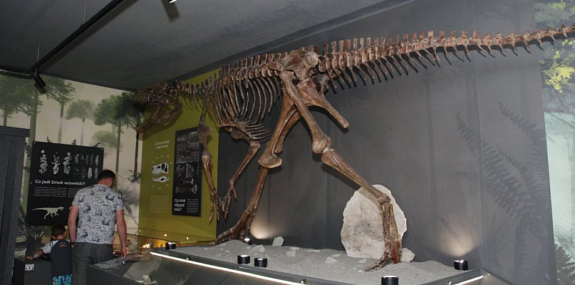 Pierwszy polski dinozaur. Majówka w Muzeum w Lisowicach [FOTO] - 50448