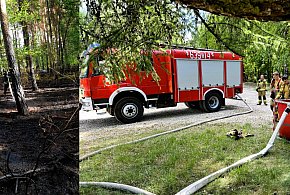 Szaleniec podpala las koło zalewu Nakło-Chechło-50987