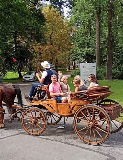 Przysięga na rynku, pikniki, Szkoci i przejażdżki. Co, gdzie, kiedy?-54736