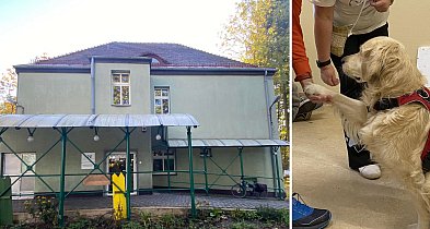 Tarnowskie Góry. Kolejki rosną, a ludzie w ostatniej chwili rezygnują z wizyt-55313