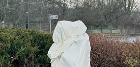 Odsłonią trzynastą rzeźbę gwarka. Z opóźnieniem