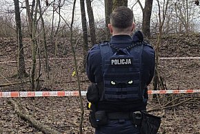 Niewybuch w parku Piny. Akcja policjantów i saperów-66690
