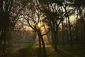 Nadchodzi najkrótszy dzień w 2025 roku. Sprawdź, kiedy przypadnie-67122