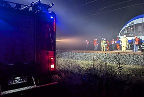 Zderzenie pociągu z sarną. Interweniowali strażacy-67204