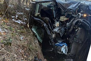 Powiat tarnogórski. Renault uderzyło w drzewo