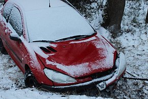 On staranował ogrodzenie, ona wjechała do rowu