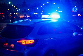 Piekary Śląskie. Zauważyli go na ulicy, a chwilę później wyciągali ze śmietnika