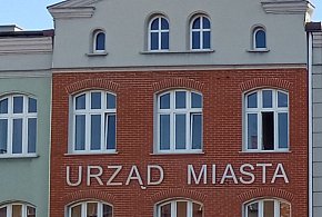 Plaga much w Piekarach Śląskich. Mieszkańcy alarmują: „Nie do wytrzymania”
