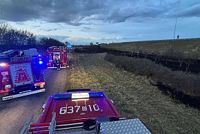 Pożar przy A1. W akcji siedem zastępów straży