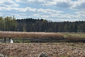 Pożar w Pniowcu. W akcji 7 zastępów straży pożarnej
