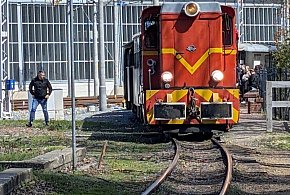 Majówka na torach Górnośląskich Kolei Wąskotorowych