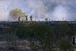 Powiat tarnogórski. Pożar przy ul. Leśnej. Akcja zastępów OSP