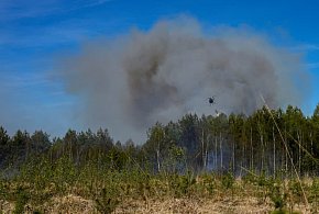 Walka z ogniem w regionie. Płonęło 15 hektarów lasu, w akcji samoloty i śmigłowce