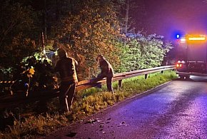 Droga, ciemności i powalone drzewo. Świadek wezwał straż i zabezpieczył...