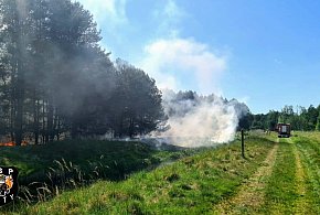 Tarnogórski. Pożar trawy i lasu. Do akcji skierowano śmigłowiec