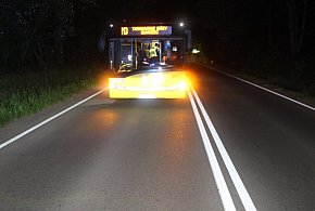 Tarnowskie Góry. Kierowca autobusu hamował przed stadem dzików