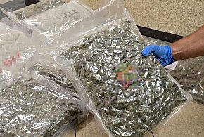 Ponad 20 kg narkotyków przemyconych z Holandii w mieszkaniu