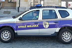 Tarnowskie Góry. Miasto chce kupić radiowóz. Wpłynęła tylko jedna oferta