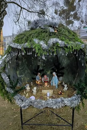 Strojenie choinki na osiedlowym skwerku seniora-31590