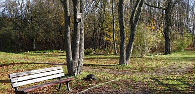 Radzionków. Tam już z psem nie wejdziecie