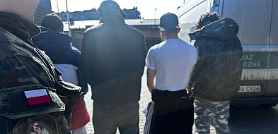 Nielegalna praca cudzoziemców w gminie Zbrosławice. Interweniowała Straż Graniczna