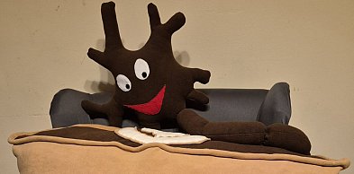 Nauczyciele dla WOŚP i pluszowa, neuronowa kawa