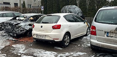 Policjanci z zarzutami, pożar na osiedlu, łosie w naszych lasach