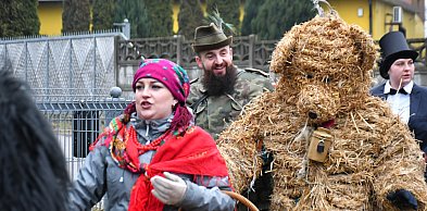 Z berem przez Miedary. Wodzenie niedźwiedzia 2026