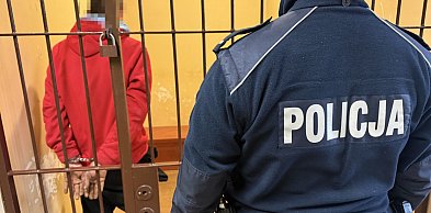 Podpadł aspirantowi. Podejrzane zachowanie na posesji zwróciło uwagę policjanta